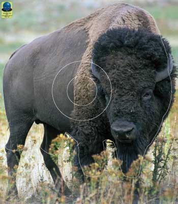 GG 150 Bison