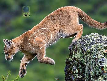 PG 728 Cougar