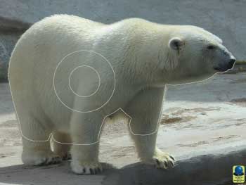 GG 168 Ours blanc