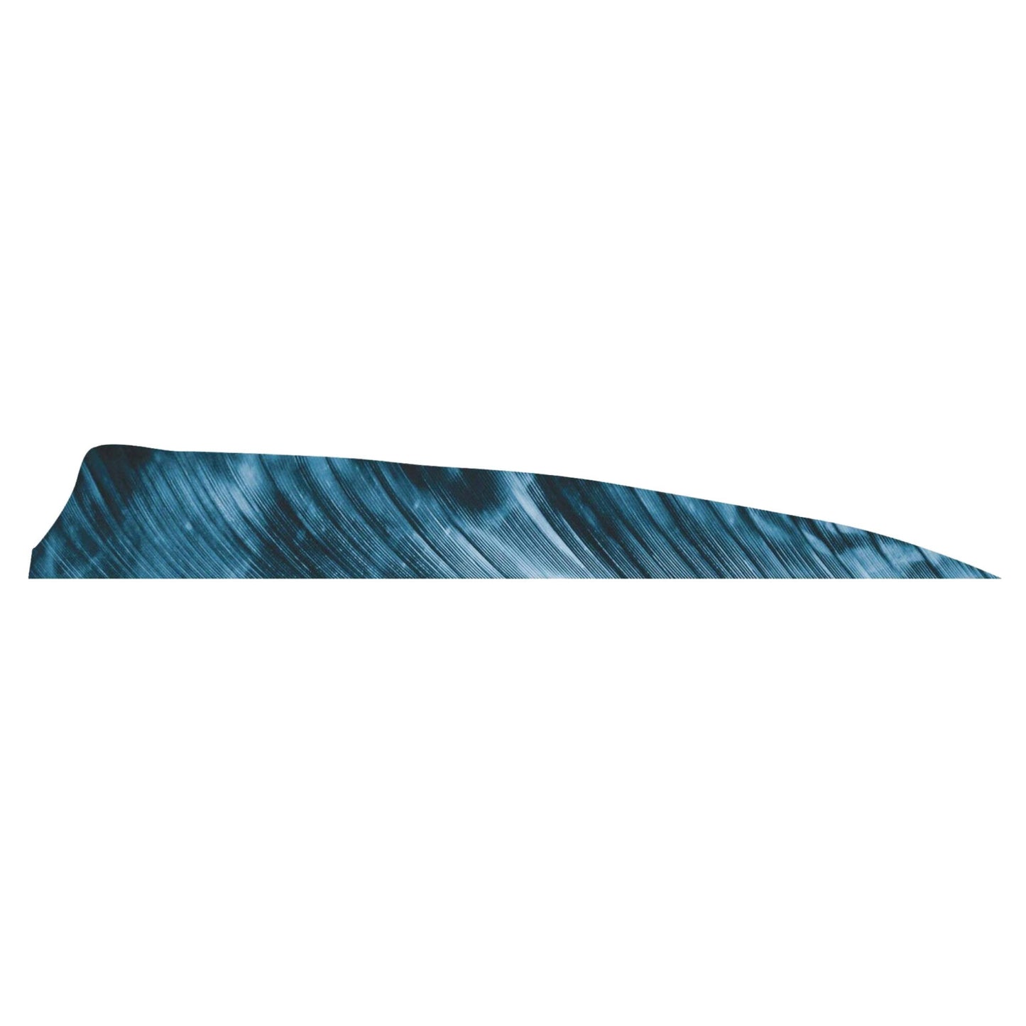Plume Naturelle Shield 4" - Gateway