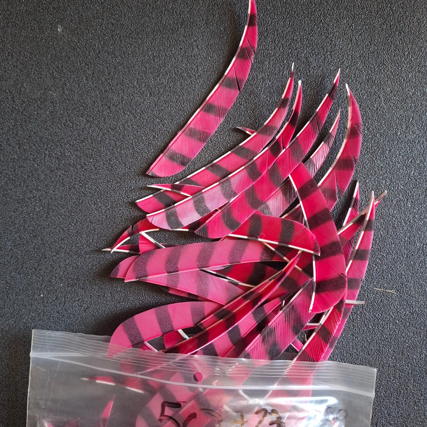 Plumes Paraboliques rayées 5" d'occasion par 12