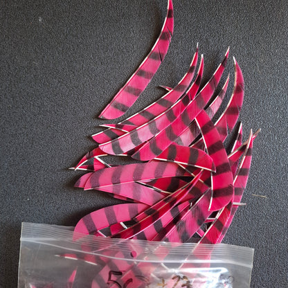 Plumes Paraboliques rayées 5" d'occasion par 12