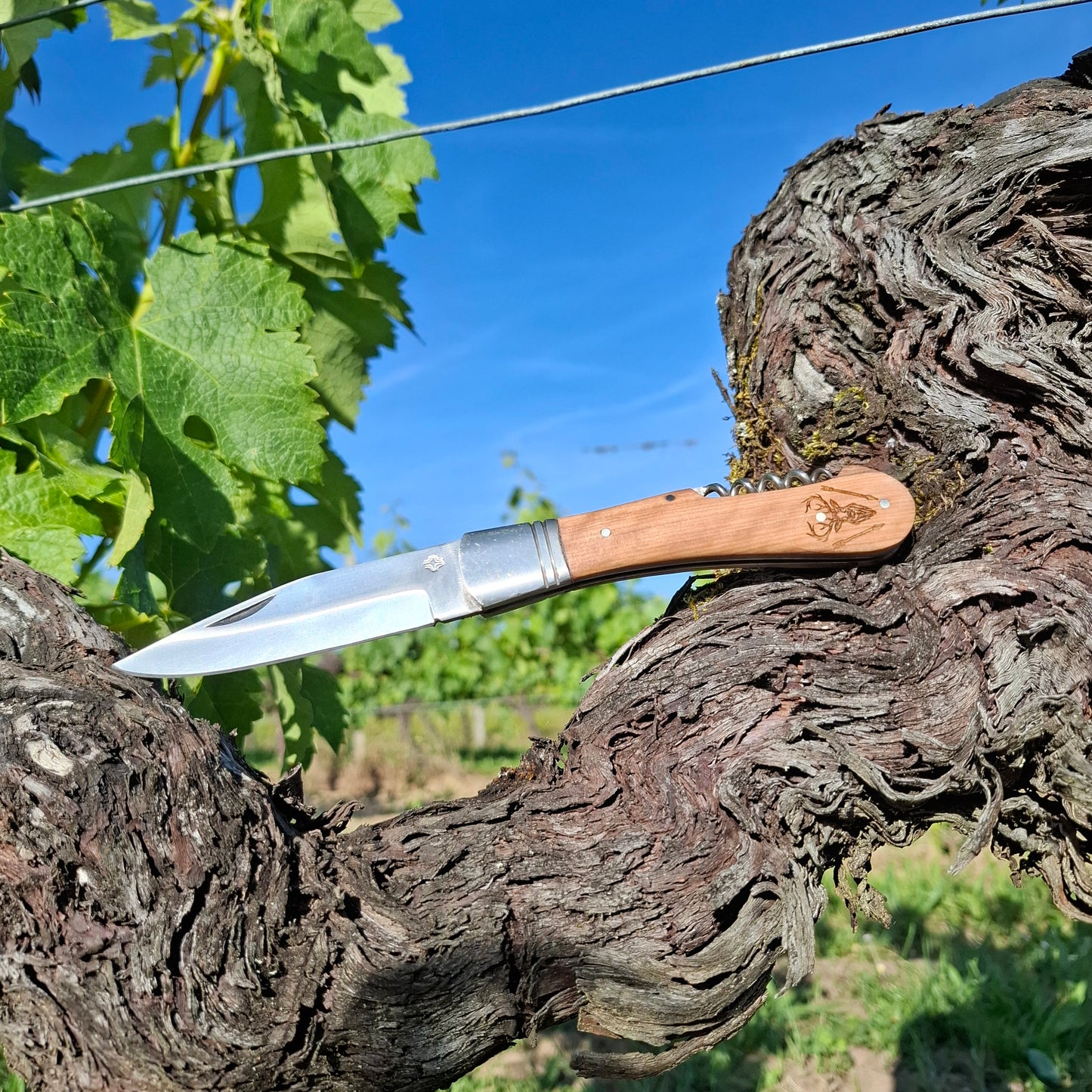 Couteau Vigneron MFA