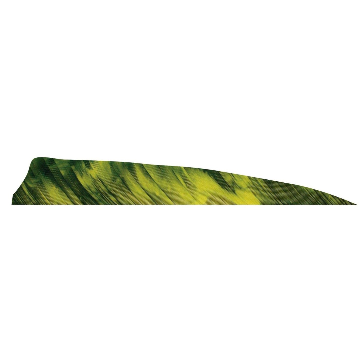 Plume Naturelle Shield 4" - Gateway