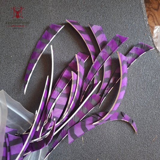 Plumes Shield rayées 5" d'occasion par 12