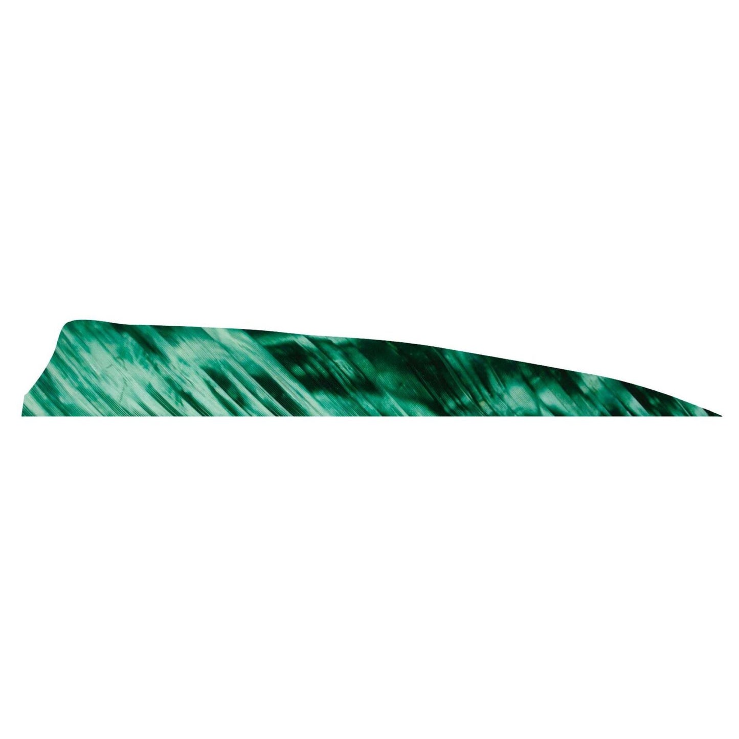 Plume Naturelle Shield 4" - Gateway