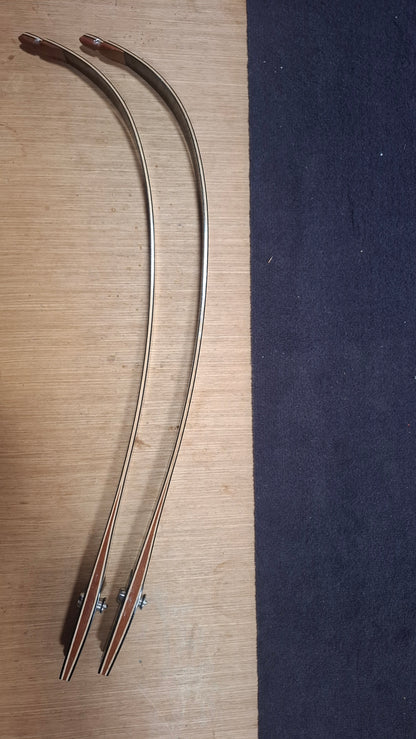 Branche occasion Prélude 68" 22lb - CORE