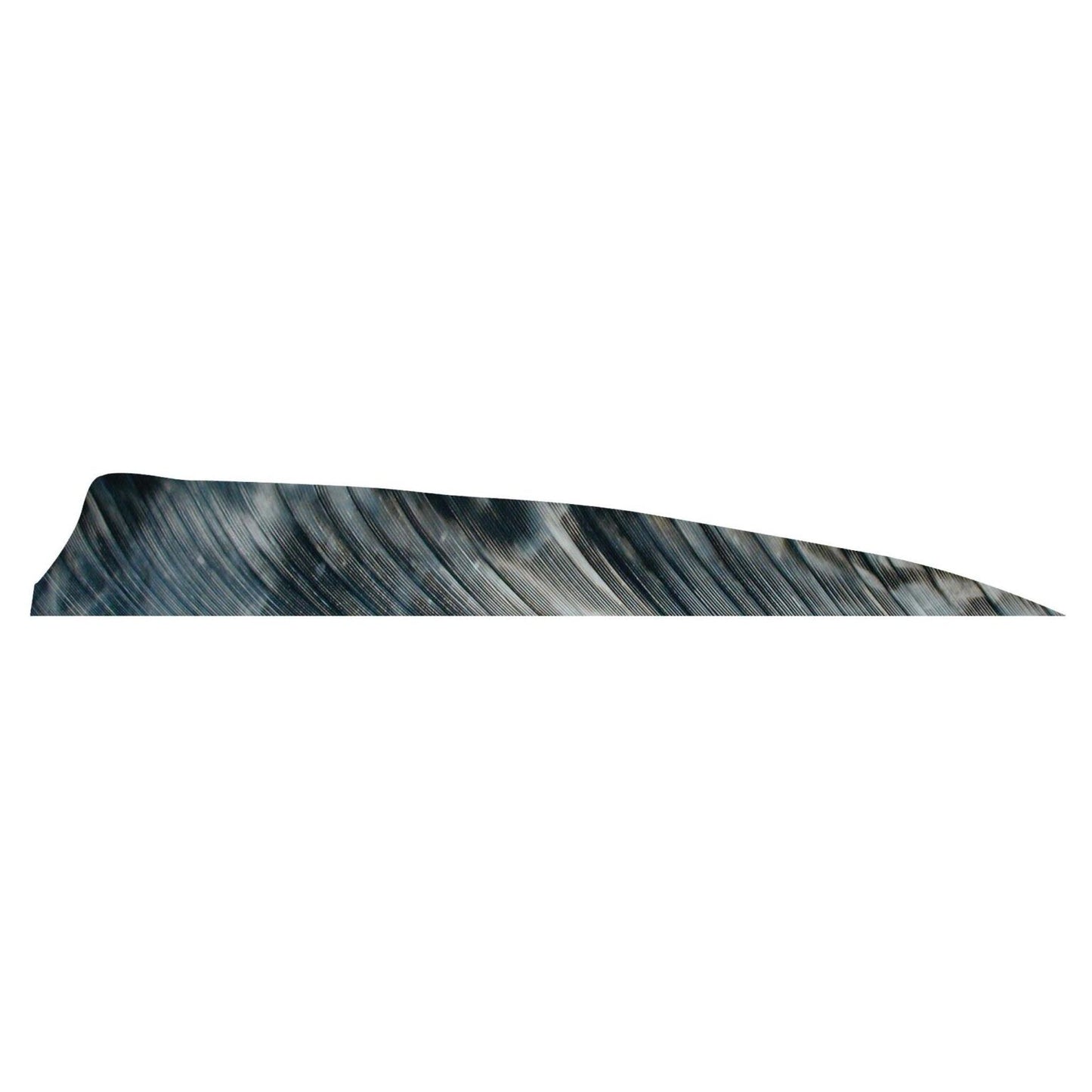 Plume Naturelle Shield 4" - Gateway
