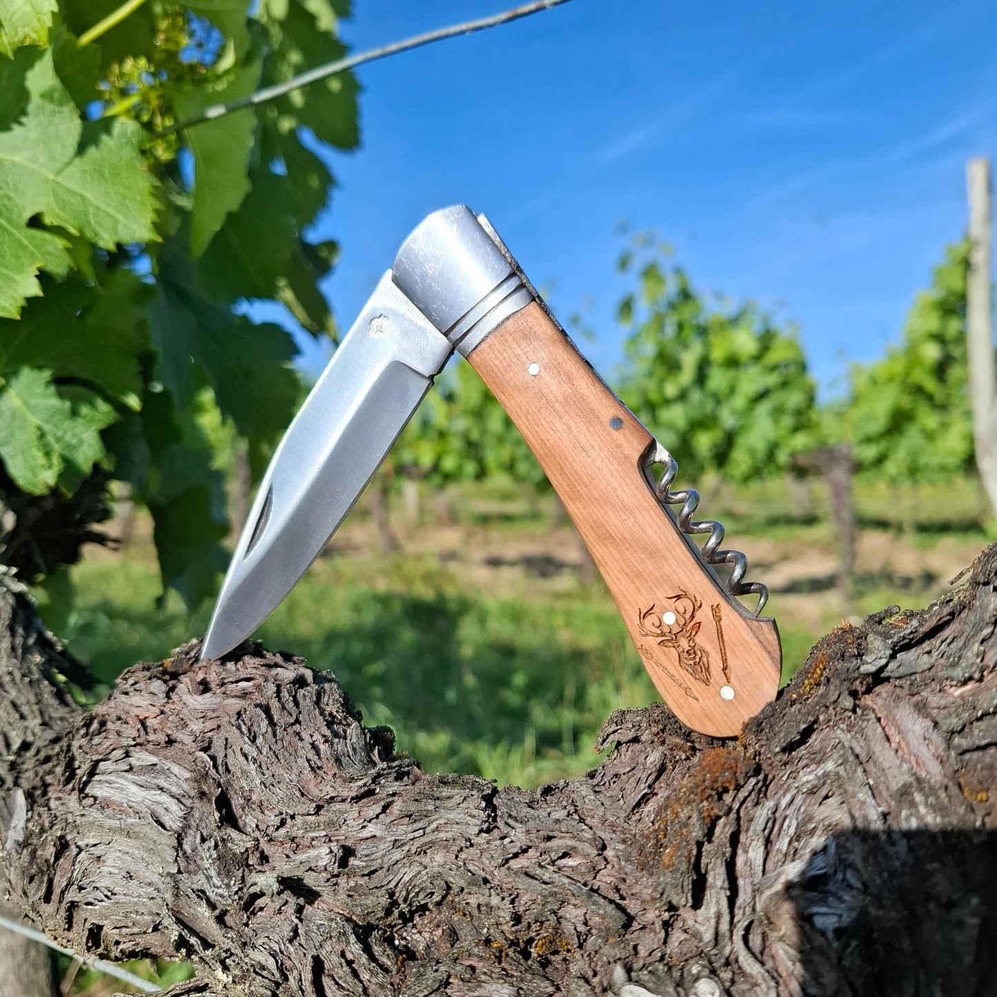 Couteau Vigneron MFA