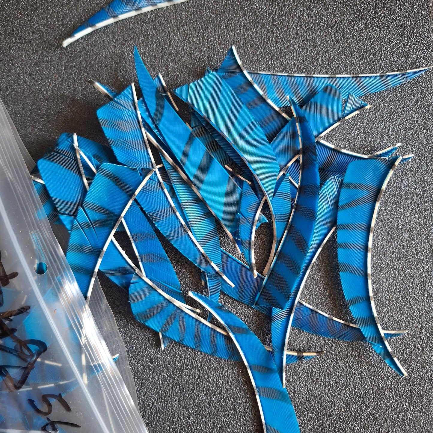 Lot 12 plumes 4" bleues zébrées shield d’occasion