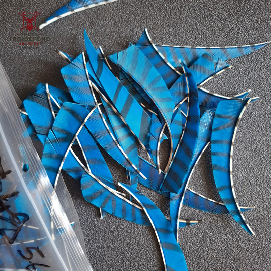Lot 12 plumes 4" bleues zébrées shield d’occasion