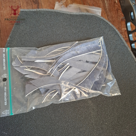 Lot 30 Plumes Shield gris 5" d'occasion