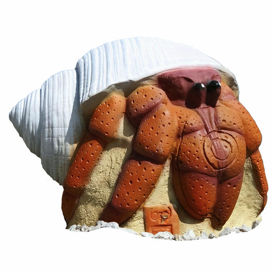 Bernard-l'Hermite cible 3D - SRT