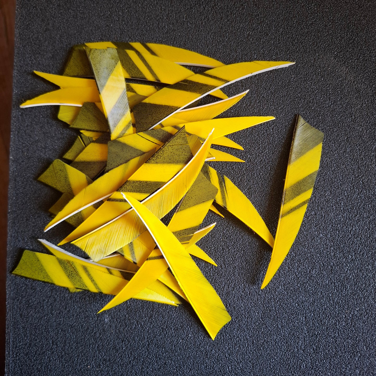 Lot 25 plumes 4" jaune noire shield d’occasion