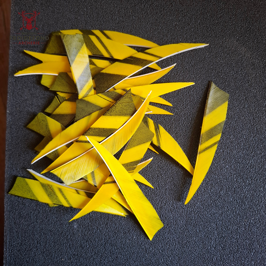 Lot 3p plumes 4" jaune noire shield d’occasion