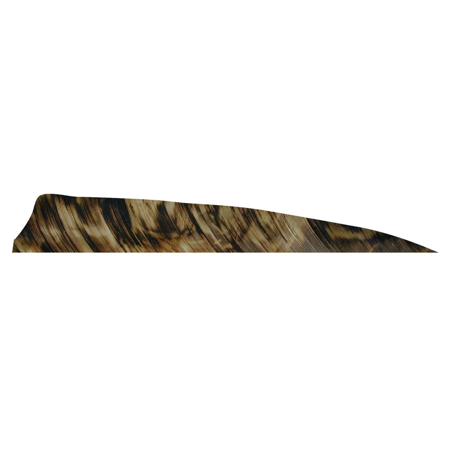 Plume Naturelle Shield 4" - Gateway