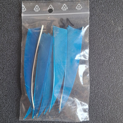 Plumes Shield unies 4" d'occasion par 12