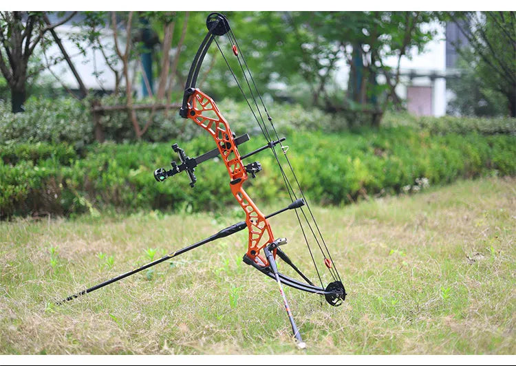 Arc à Poulie Breth 36 XL Cam 1  - Topoint